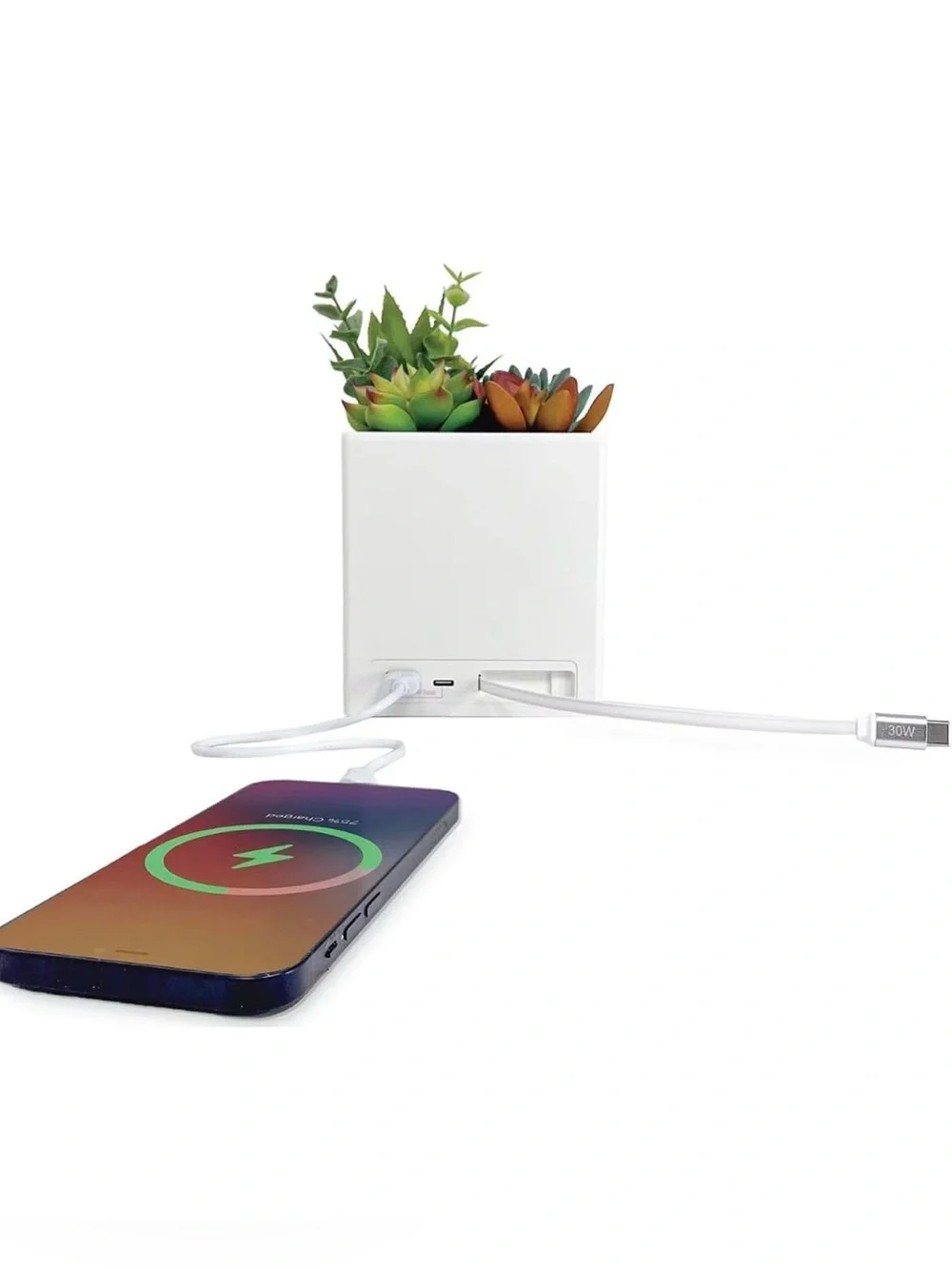 Tech² Power Bloom 45W Succulent Plant Fast Charging POWER BLOOM Station USB C&A